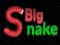Joc Big Snake.io en línia
