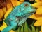 Joc Ultimate Puzzles Animals 6 en línia