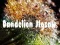 Joc Dandelion Jigsaw en línia