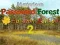 Joc Mysterious Password Forest Autumn Edition 2 en línia