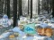 Joc Winter Wonderland Forest Adventure en línia
