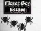 Joc Floret Boy Escape en línia