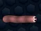 Joc Math Slither en línia