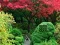 Joc Maple Leaf Garden Escape en línia