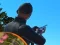 Joc Shadow Hunter en línia