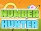 Joc Number Hunter en línia