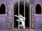 Joc Victory Rabbit Escape en línia