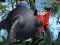 Joc The Incredibles - Save the Day en línia