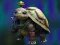Joc Isolated Turtle Escape en línia