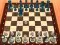 Joc Chess Master 3D en línia