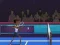Joc Badminton Brawl en línia