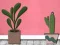Joc Find Houseplant en línia
