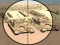 Joc Camo Sniper en línia