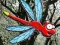 Joc Escape From Dragonfly Forest en línia