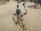 Joc The Scythian Warrior en línia