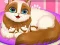 Joc Cute Kitty Pregnant en línia
