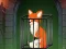 Joc Fox in the Forgotten Ruins en línia
