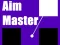 Joc Aim Master en línia