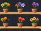 Joc Good Flower Master en línia