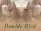Joc Double Bird en línia