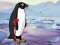 Joc Heal the Wounded Penguin en línia