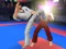 Joc Karate Fighter en línia