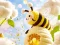 Joc Find The Differences: Little Bee's Adventure en línia