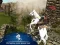 Joc Ertugrul Gazi Horse Sim en línia