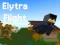 Joc Elytra Flight en línia