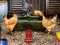 Joc Poultry Farm Easter Escape en línia