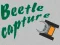 Joc Beetle Capture en línia