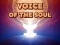 Joc Voice Of The Soul en línia