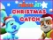 Joc Nick Jr. Christmas Catch en línia