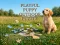 Joc Playful Puppy Outdoor Puzzle en línia