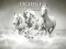Joc Horses Puzzle en línia
