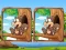 Joc Jungle 5 Diffs en línia