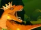 Joc The Dino King en línia