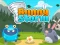 Joc Bunny Storm en línia