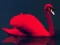 Joc Love Birds Puzzle en línia