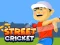 Joc Street Cricket en línia