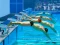 Joc Swimming Pool Race en línia