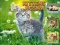Joc Kittens Jigsaw en línia