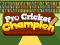 Joc Pro Cricket Champion en línia