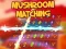 Joc Mushroom matching en línia