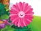 Joc Funny Flowers Jigsaw en línia