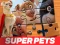 Joc DC League of Super Pets Jigsaw Puzzle en línia