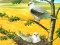 Joc Birds Of Prey Puzzle en línia