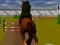 Joc Jumping Horse 3d en línia