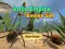 Joc Ants Empire Evolve Sim en línia