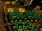 Joc Pixel Farm en línia